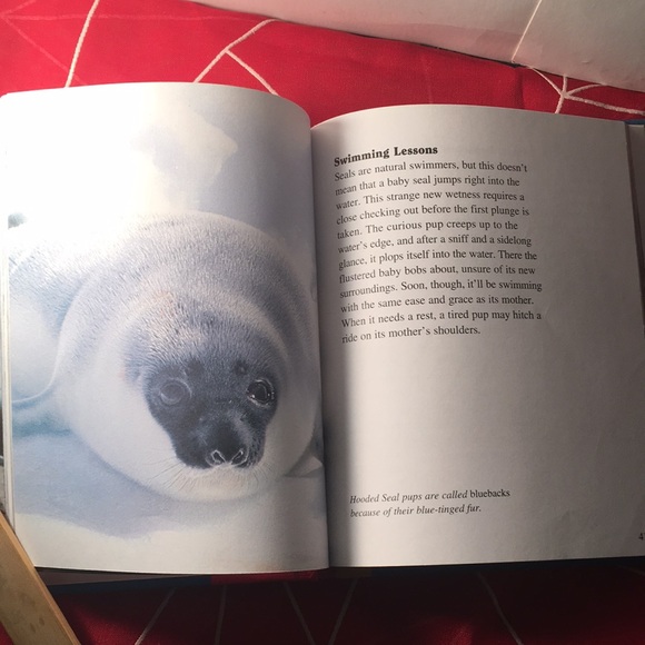 Getting to know….. Nature’s Children - Picture 4 of 4